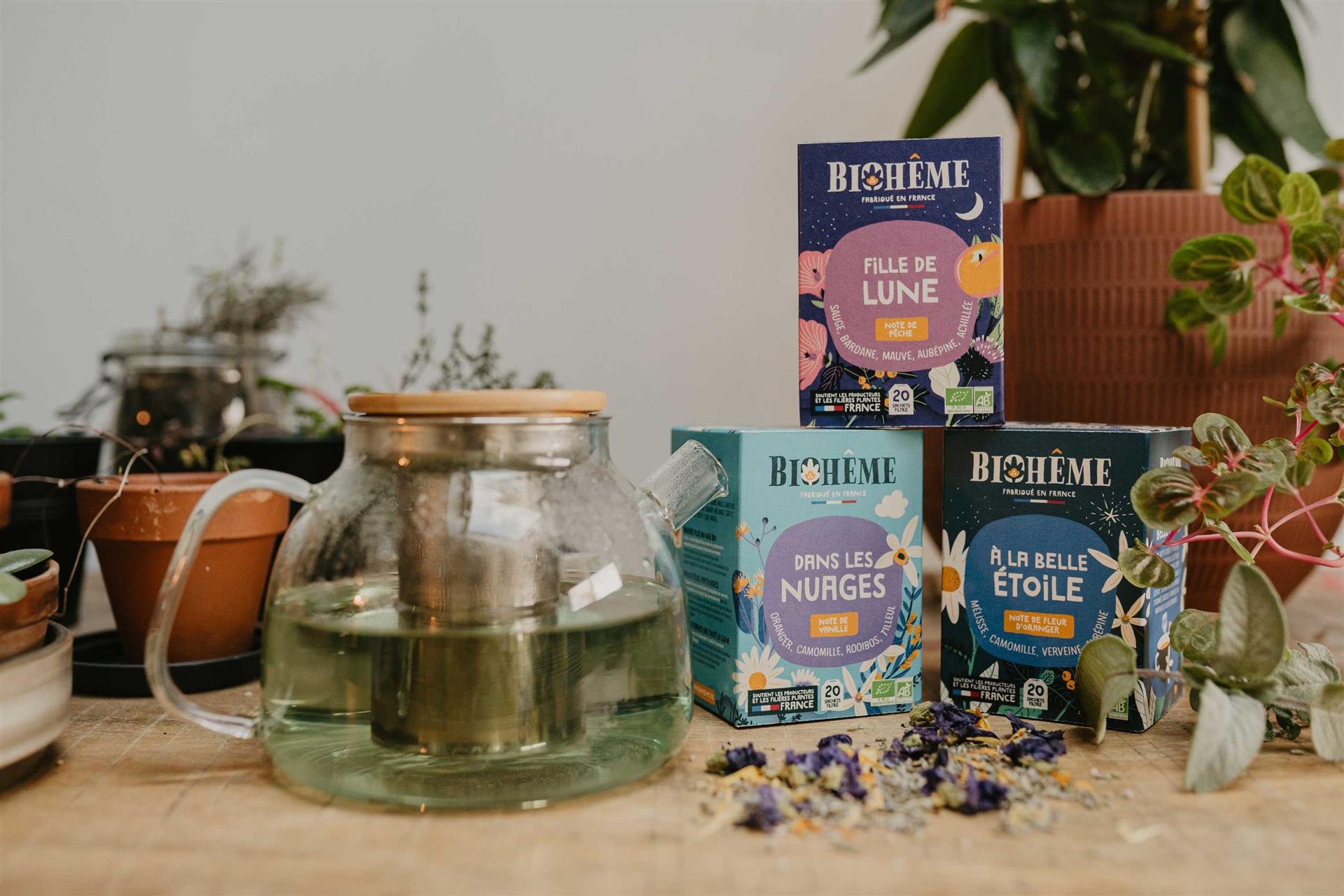 Infusi in bustina filtro