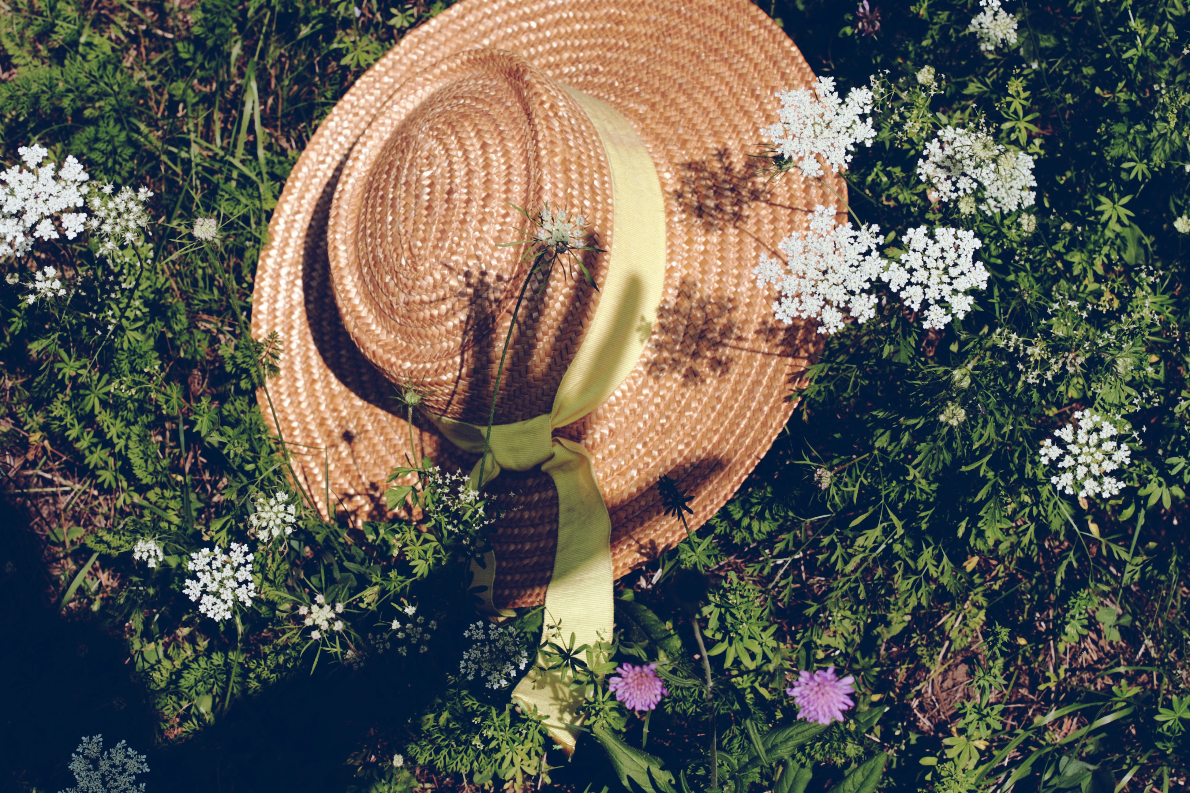 Vorrei perdermi in un orizzonte di verde