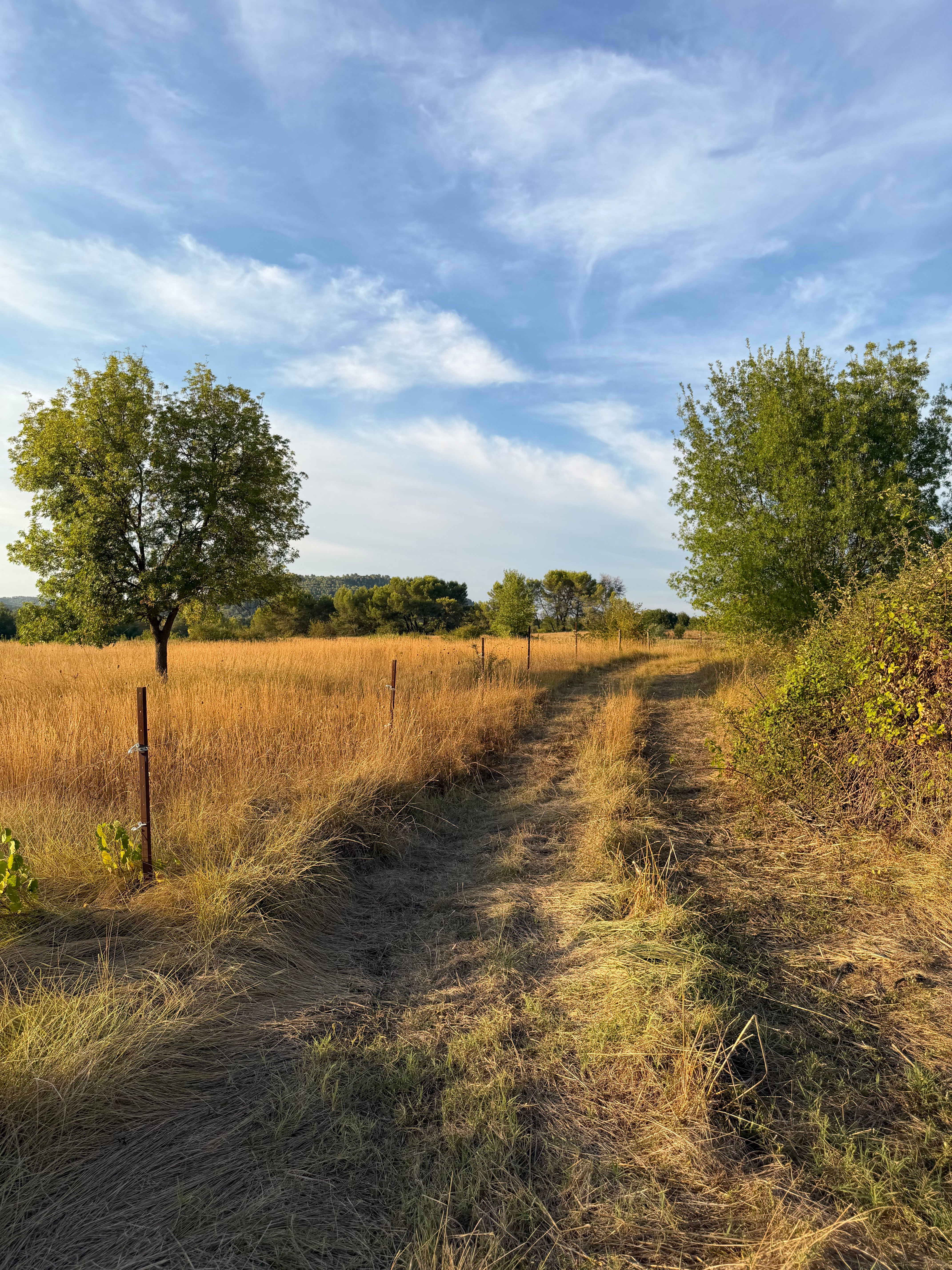 Borsa Brocante / Fil du Sud per Melissa