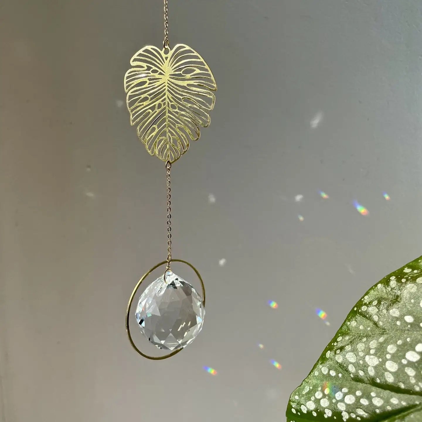 Suncatcher Cristallo da finestra Monstera