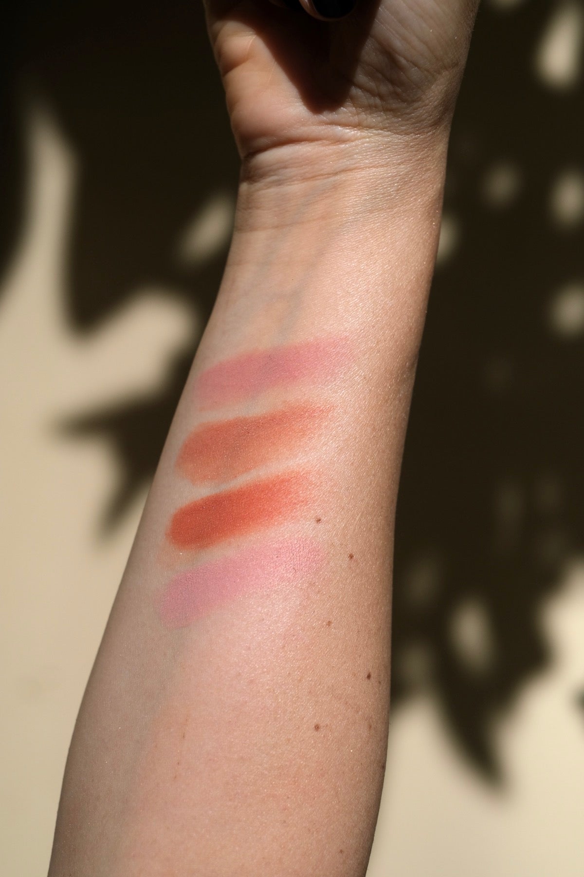 Blush Purobio in cialda