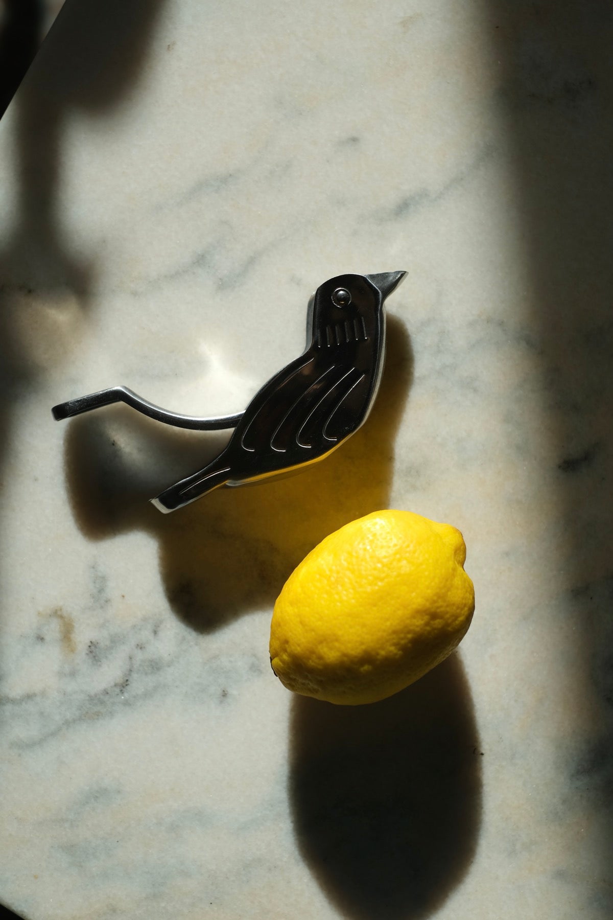 Spremi limone uccellino