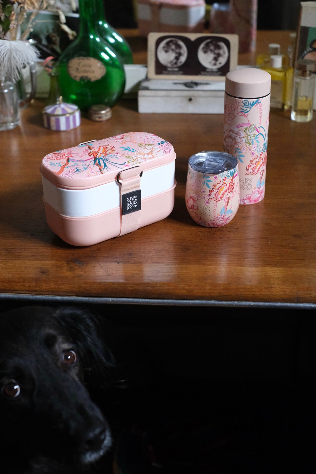 Thermos Bali caldo e freddo