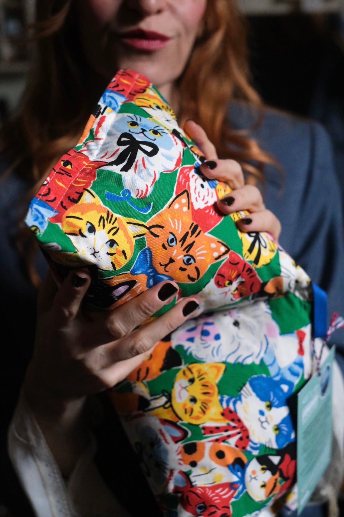 SALVADOR CUSCINO da lettura GATTOS