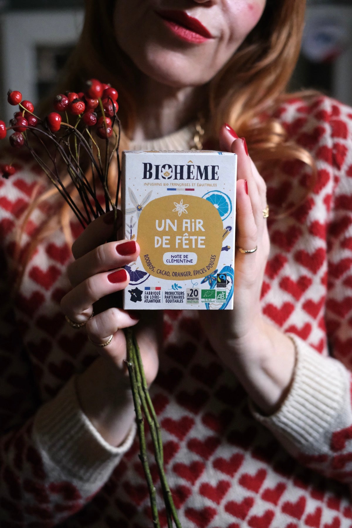 Tisana bustine Un Air de Fête bio