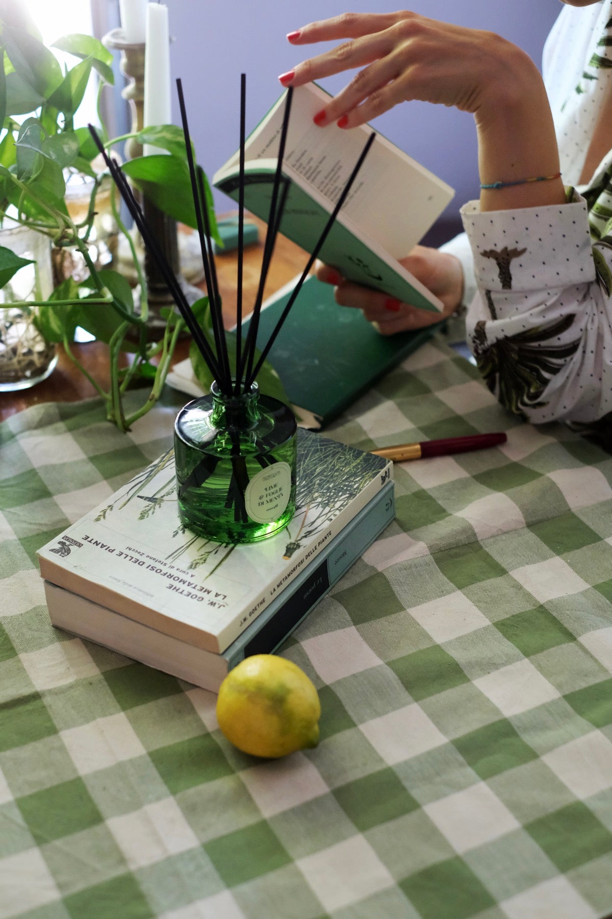 Lime e Foglie di Menta Diffusore bacchette