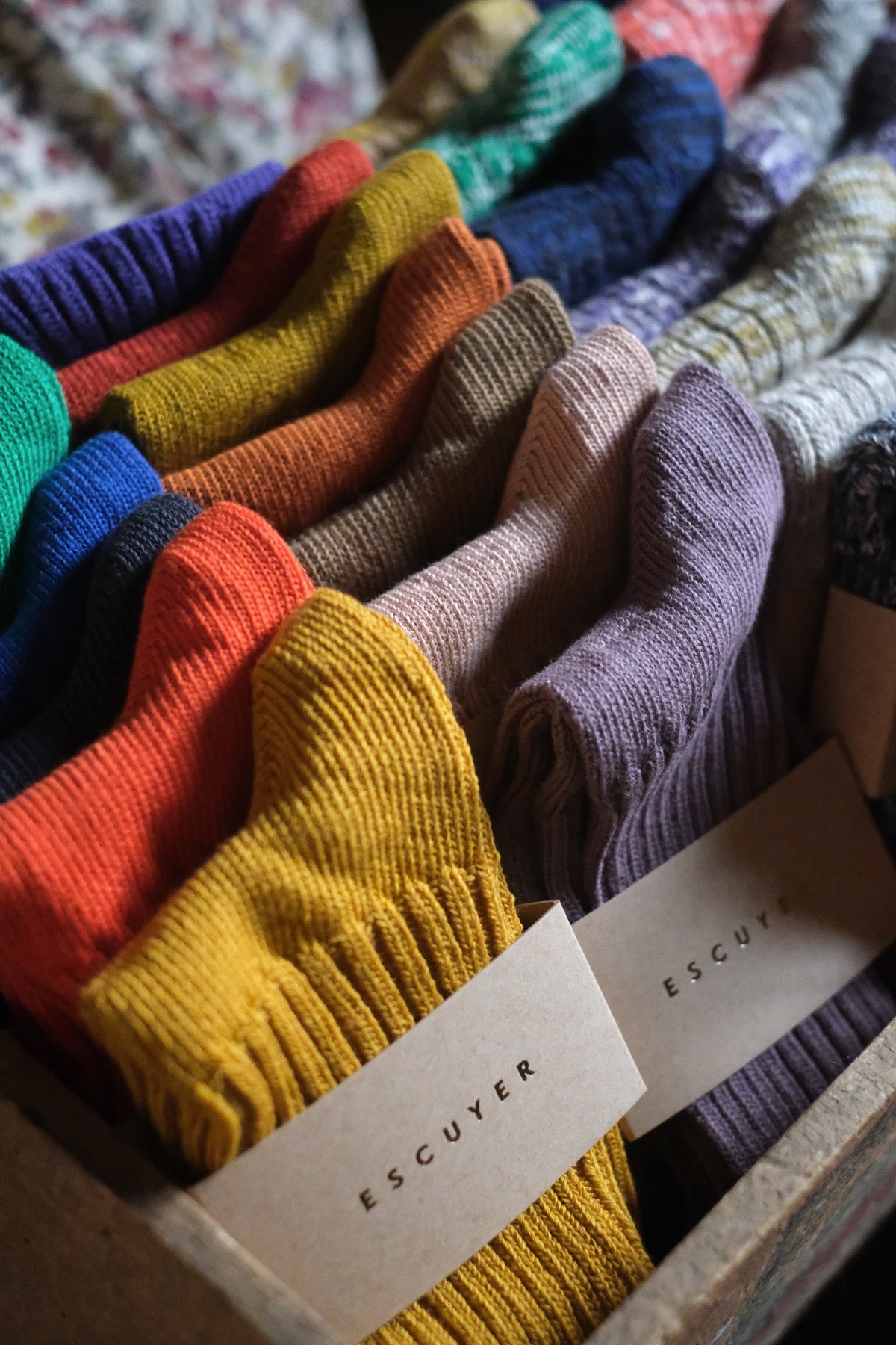 Escuyer SOCKS 36/41 Curcuma Bronze