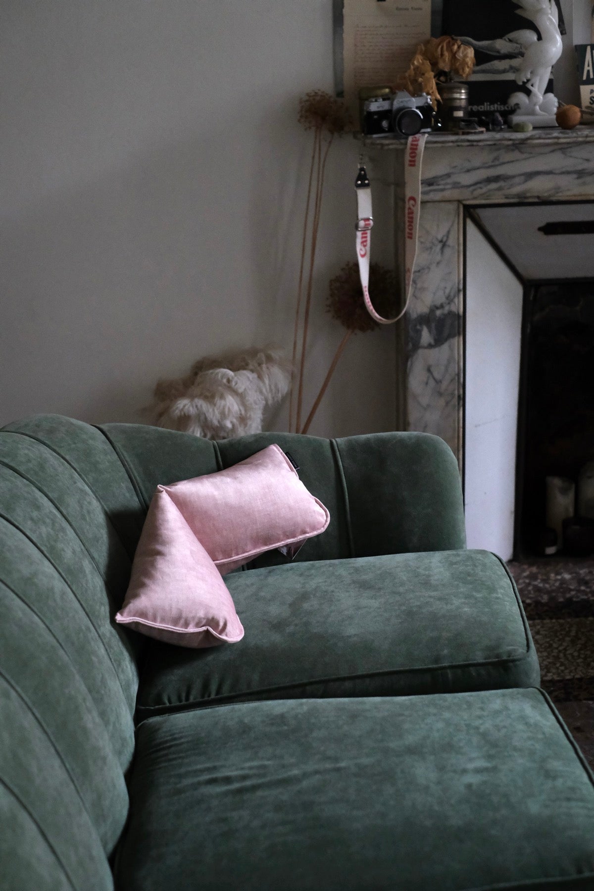 EPICUR Aphrodite rosa CUSCINO POGGIATESTA E Arredamento