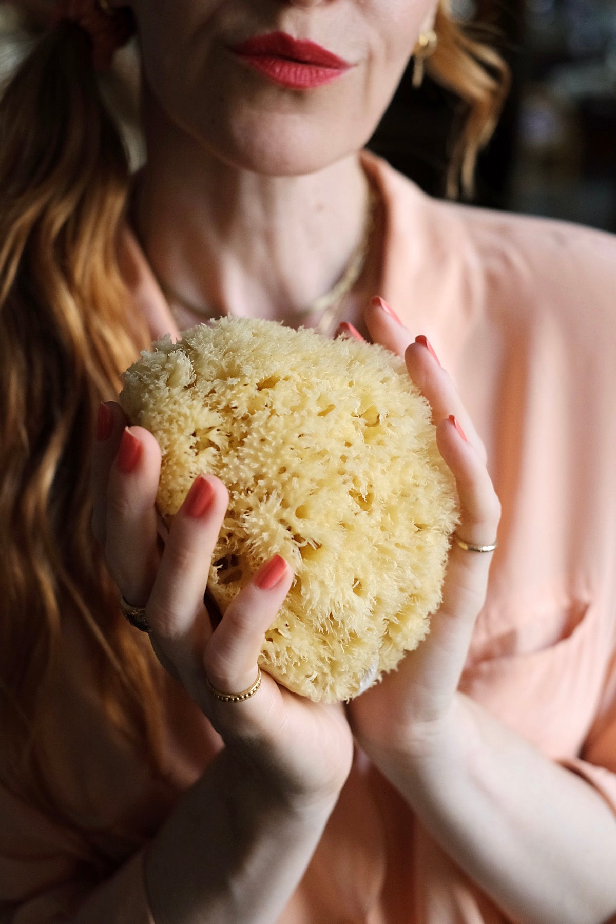 Spugna Arcipelago varie misure