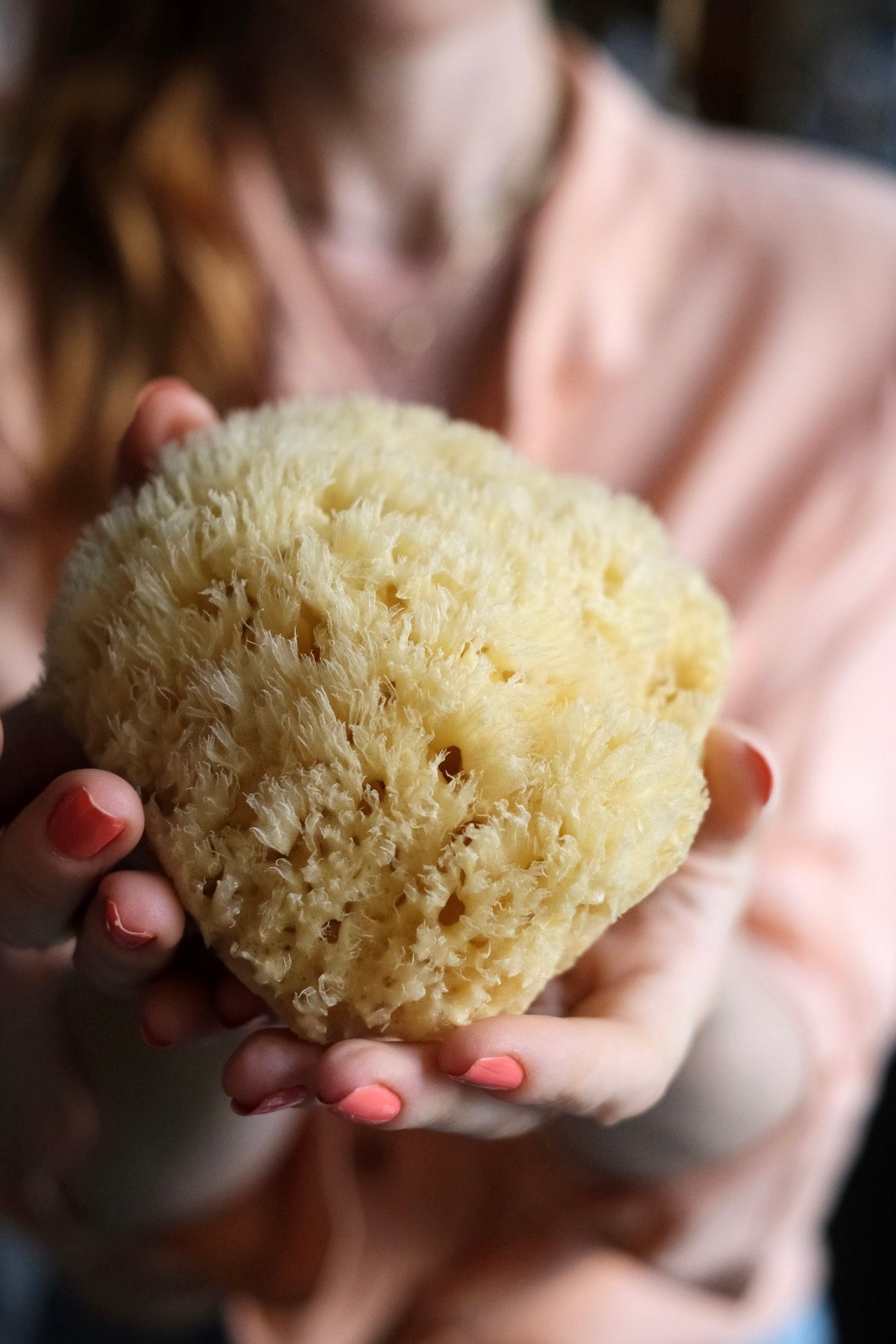 Spugna Arcipelago varie misure