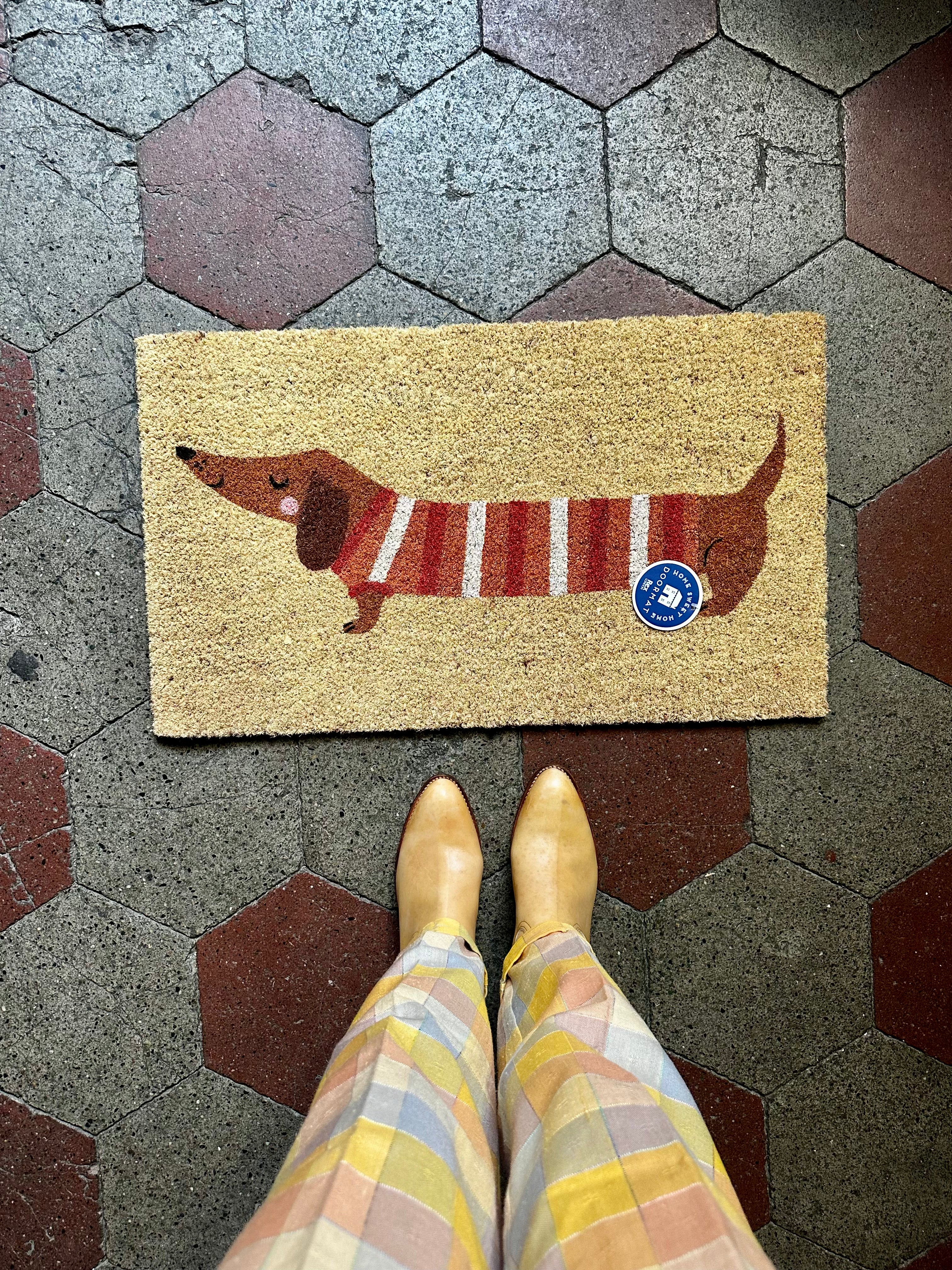 Zerbino in fibra di cocco "Bassottino"