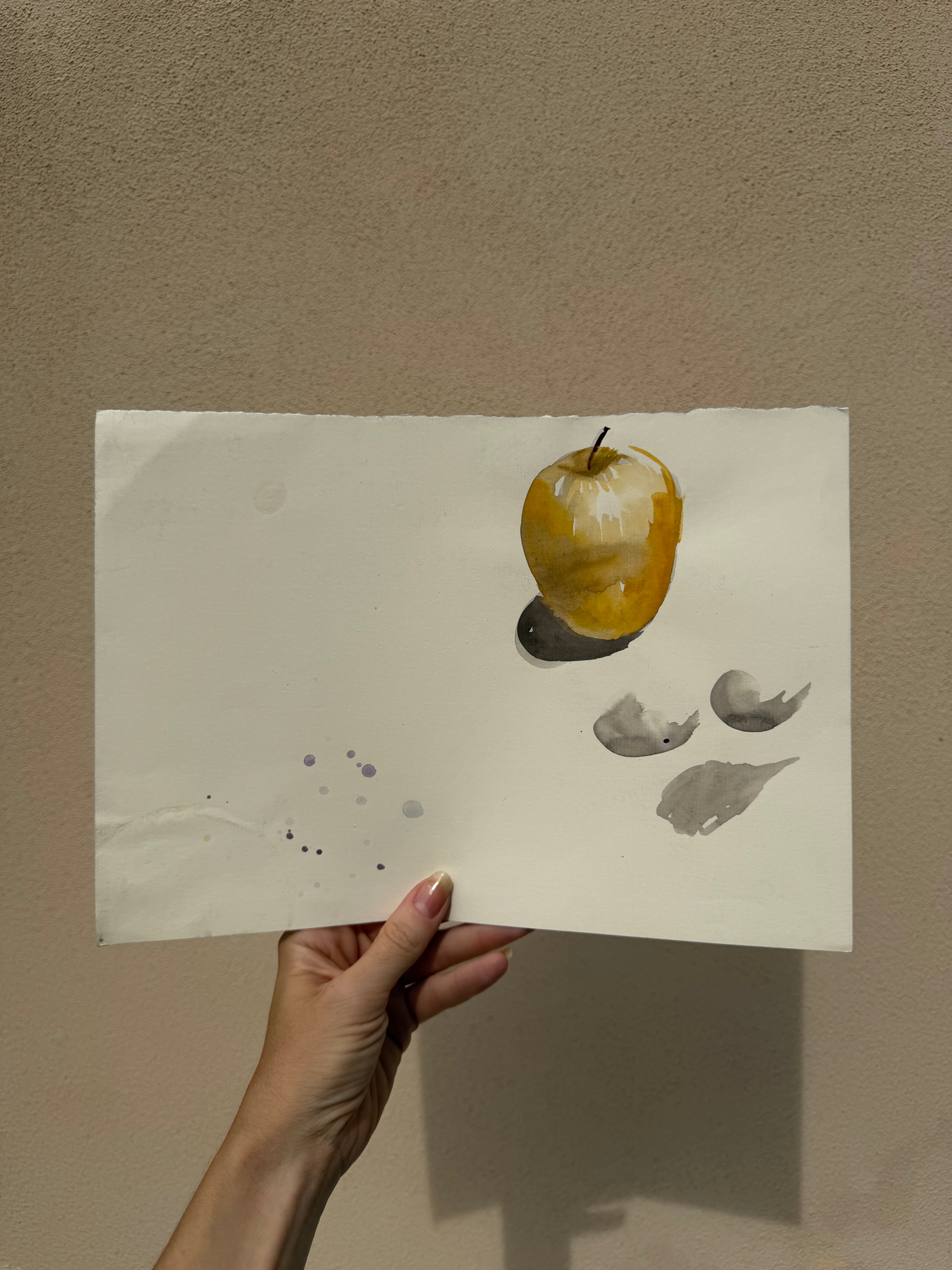Dalla cartella del pittore tesoro numero 26