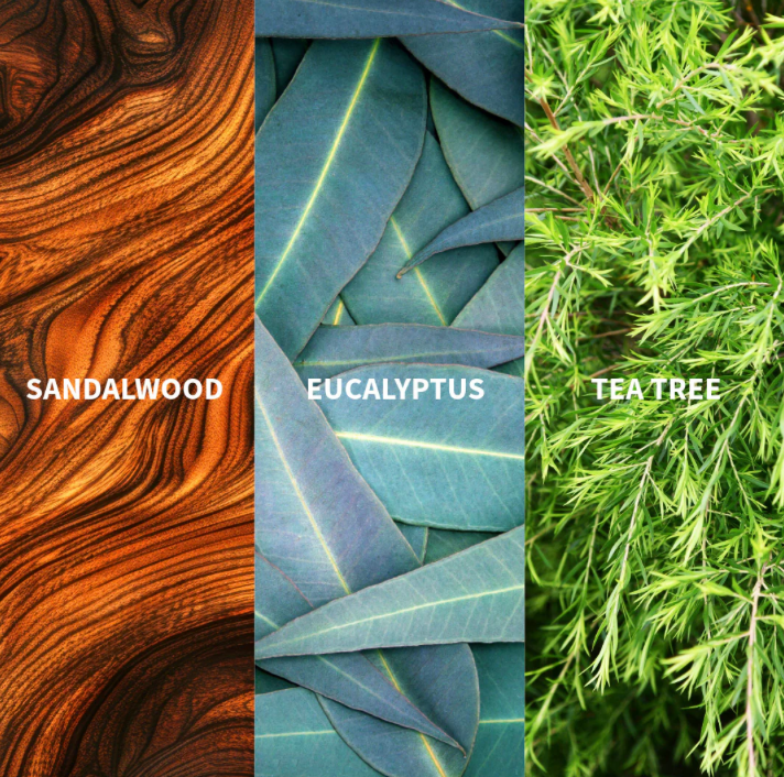 LE TEMPS DES SONGES - AUSTRALIA Eau de Parfum