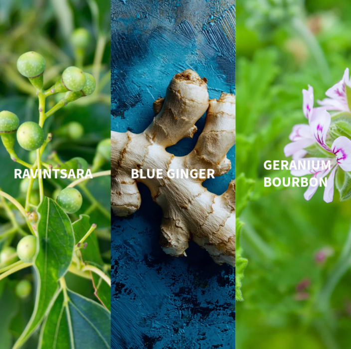 WAKA - MADAGASCAR Eau de Parfum