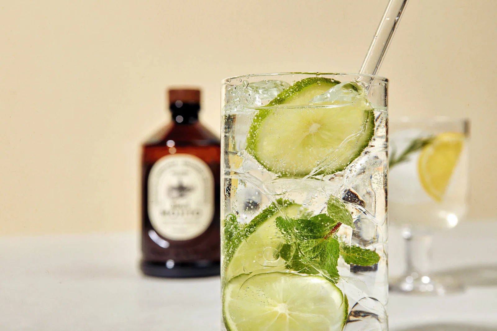 Sciroppo Mojito Brut