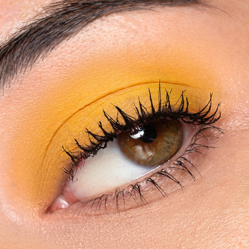 Ombretti Blush e terre in cialda GLI ARCOBALENI Neve cosmetics