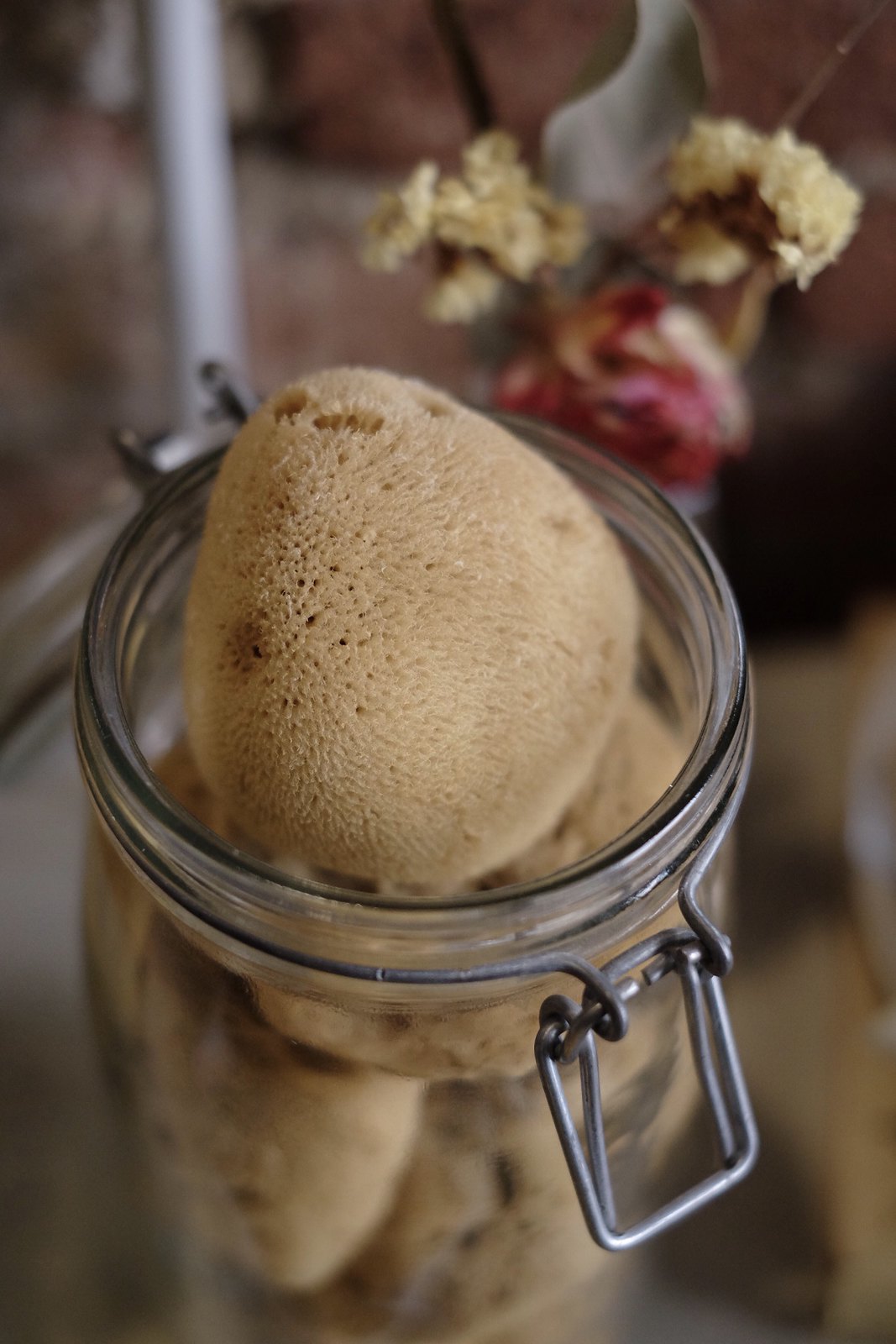 Spugna viso Fine Dama Lavata