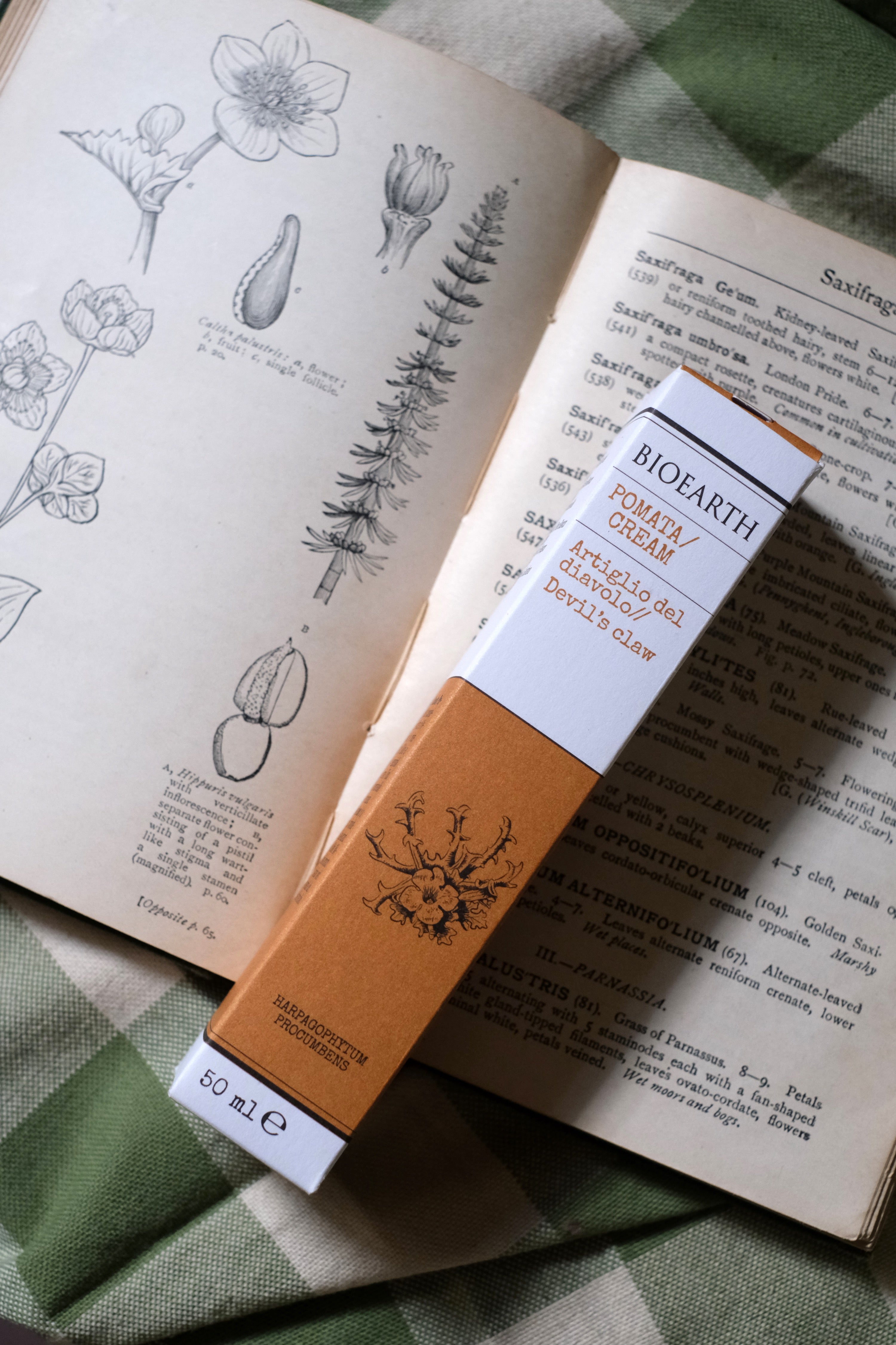 Pomata Artiglio del diavolo