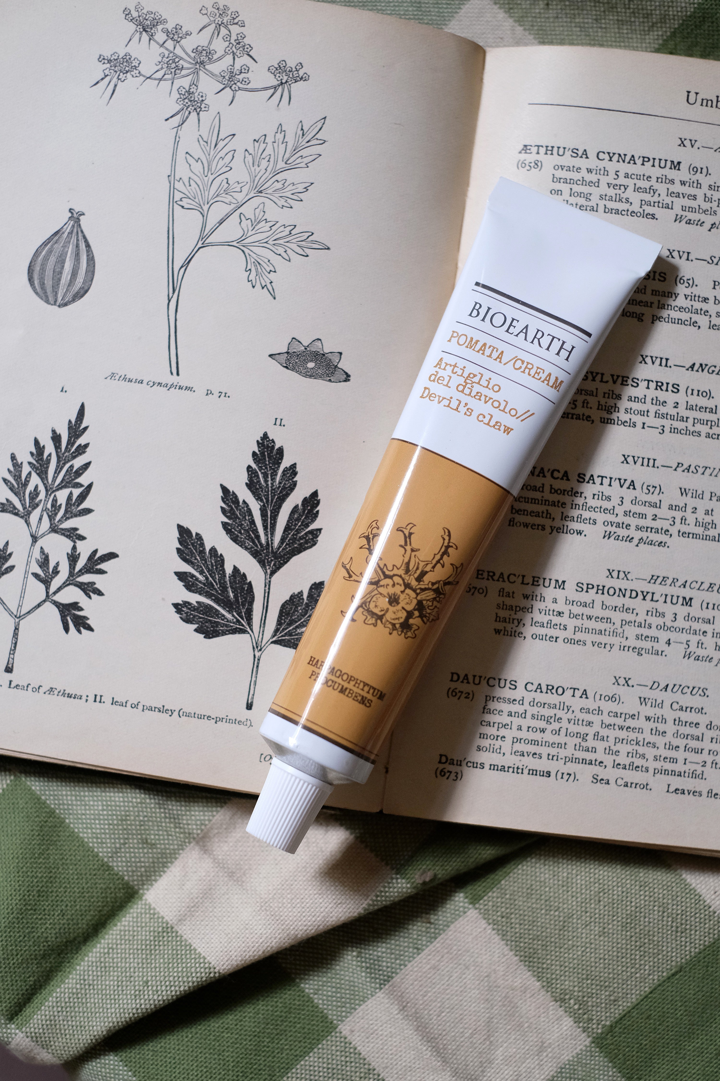 Pomata Artiglio del diavolo