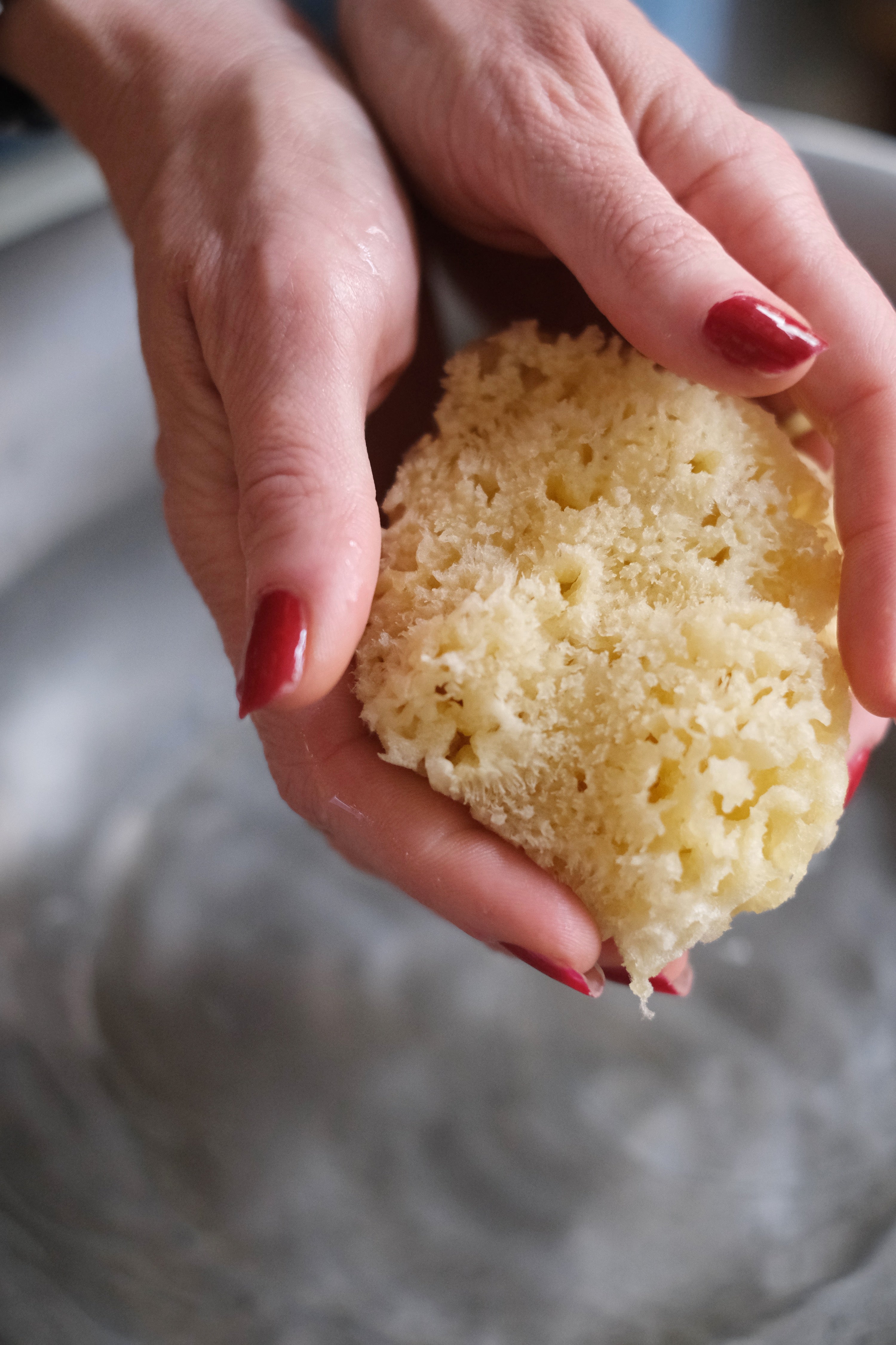 Spugna Arcipelago Sbiancata