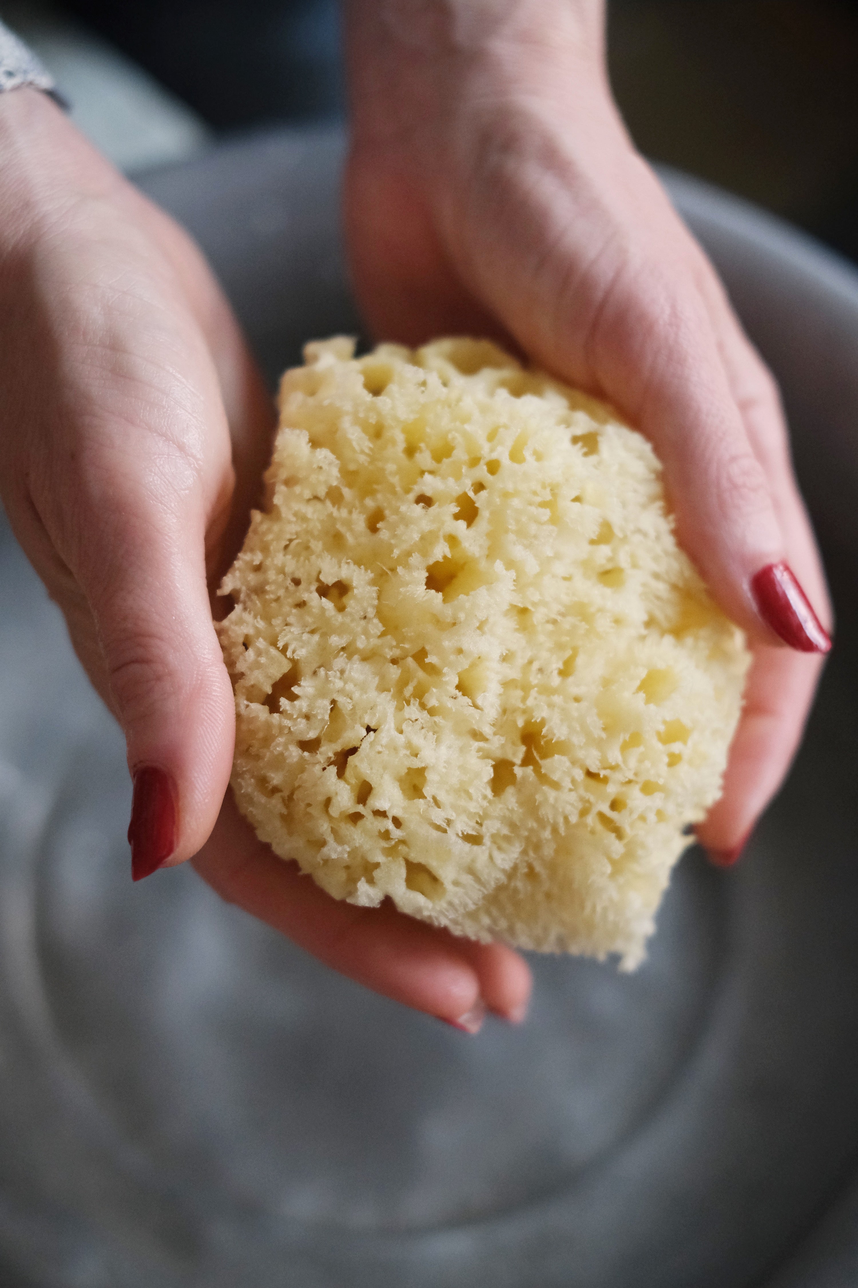 Spugna Arcipelago Sbiancata