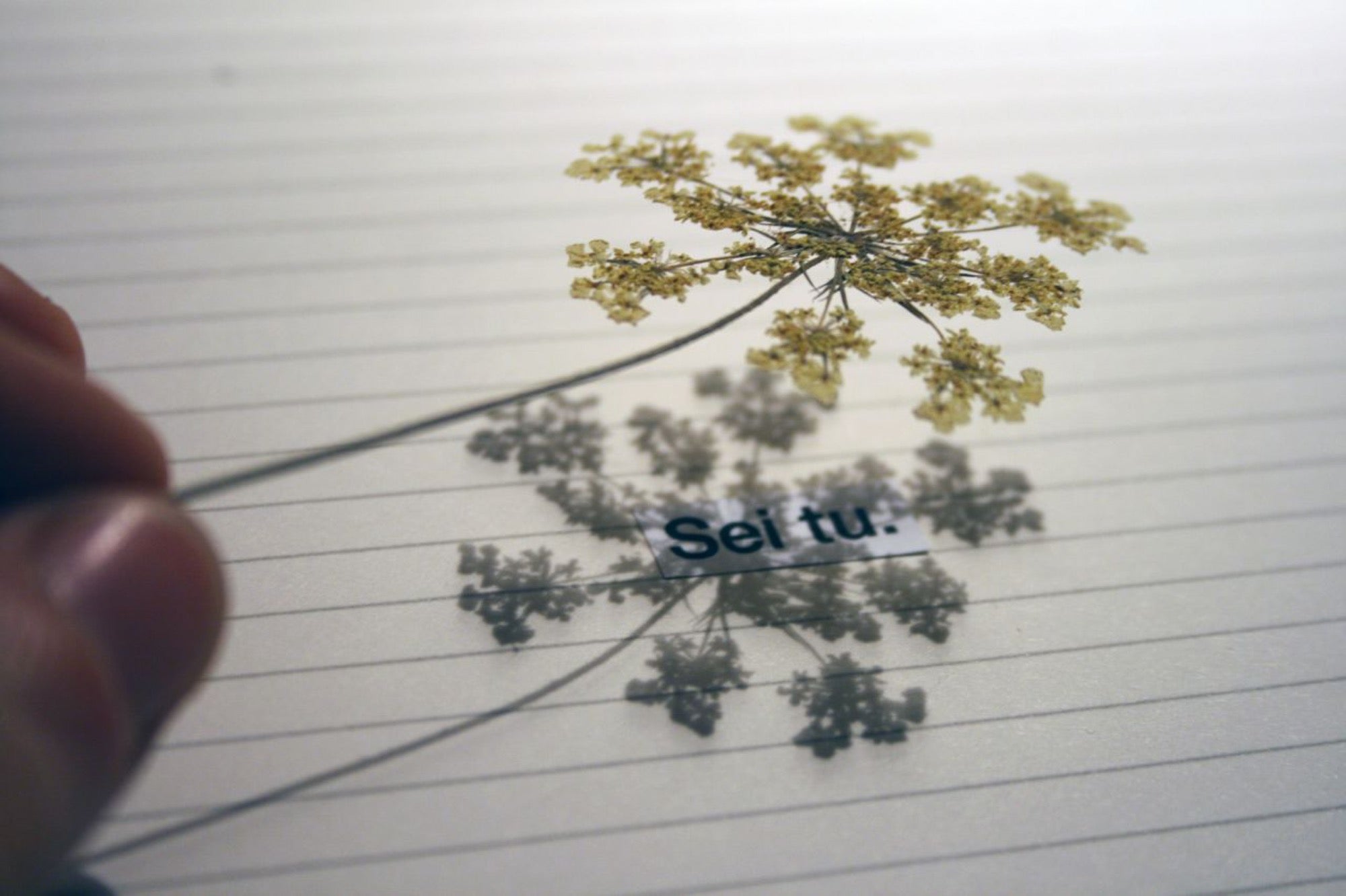 Romanticherie di Agosto