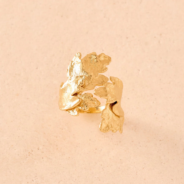 ANELLO DIONISIA