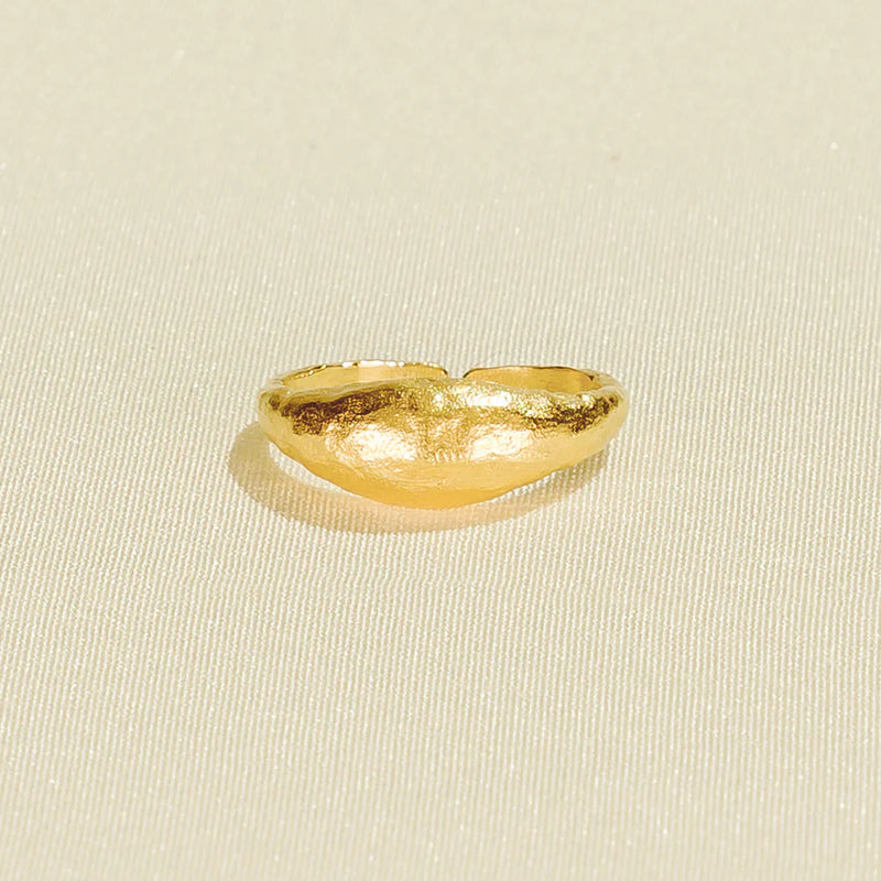 Anello Medici