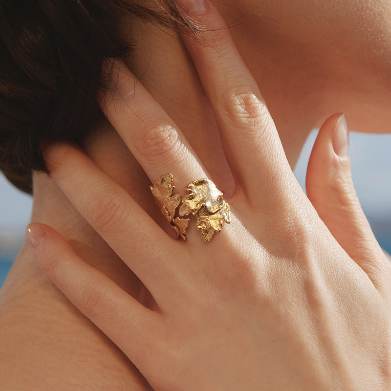 ANELLO DIONISIA