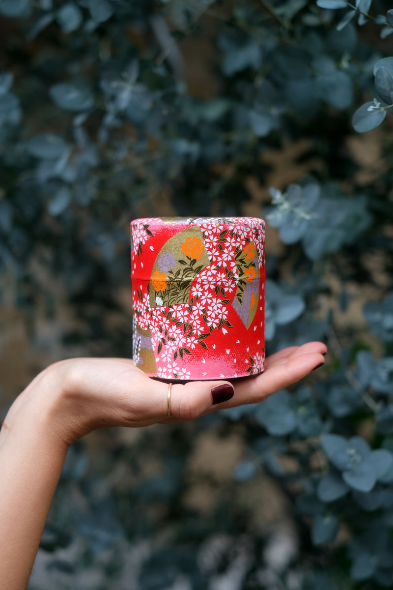 Barattolo Washi Nanami Rosso Rosa