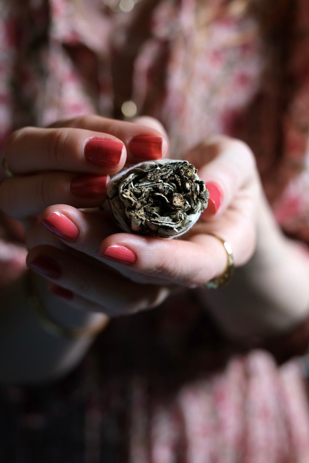 Smudge Yerba Santa
