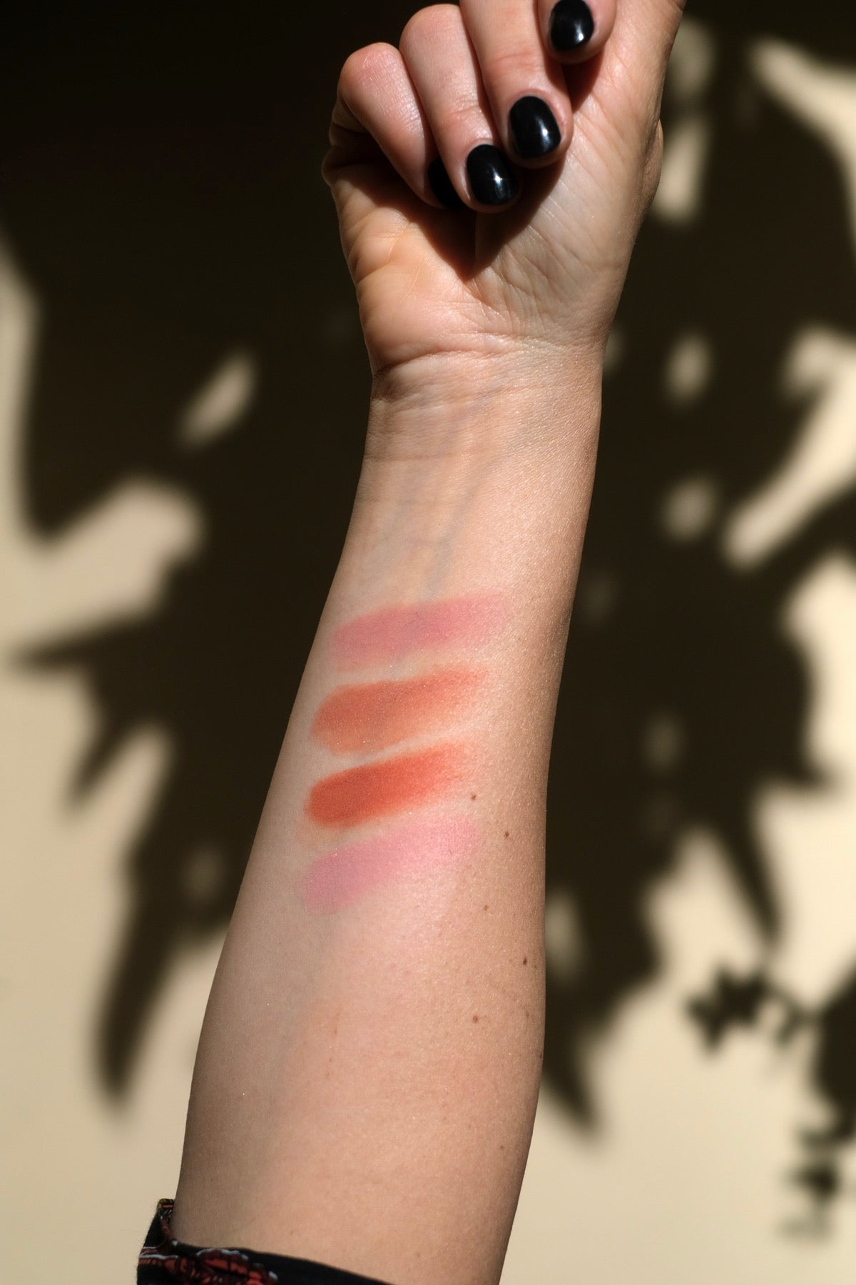 Blush Purobio in cialda
