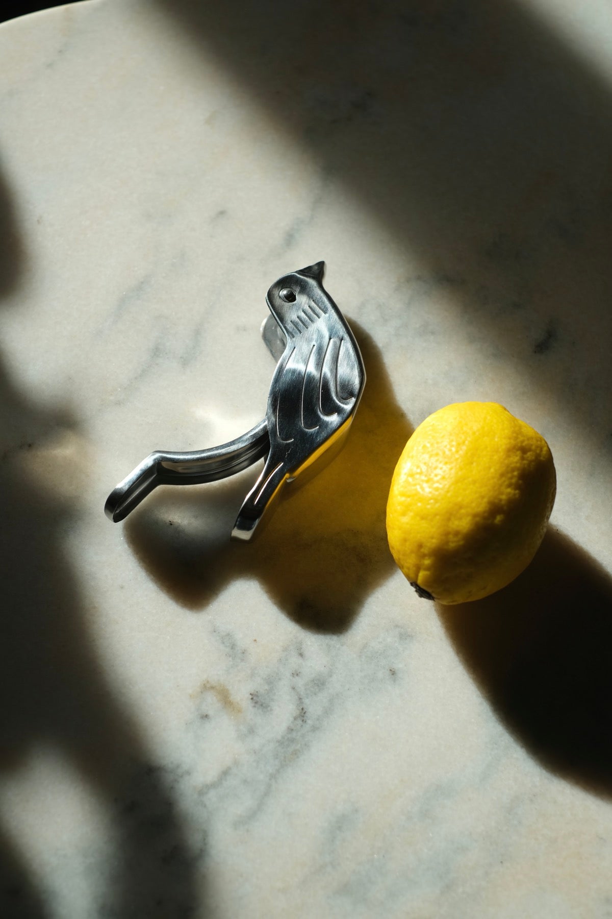 Spremi limone uccellino