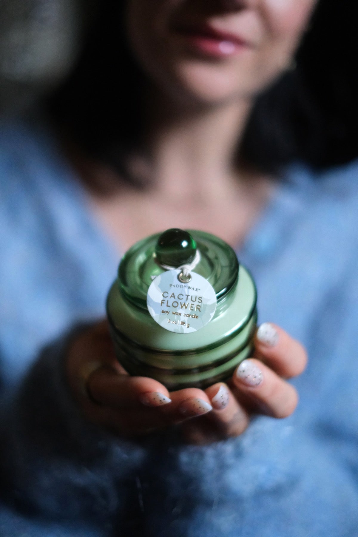 Candela Beam Cactus Flowers