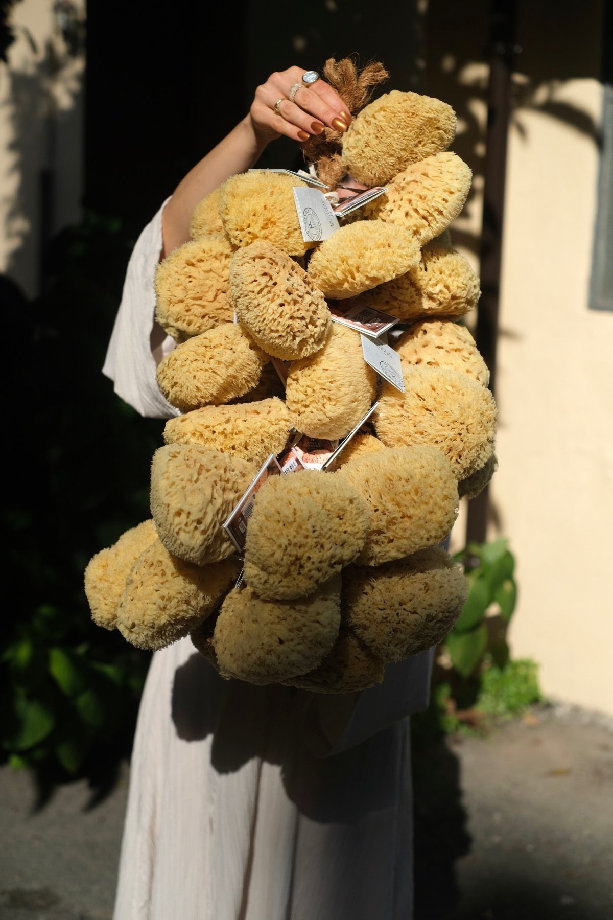 Spugna Arcipelago varie misure