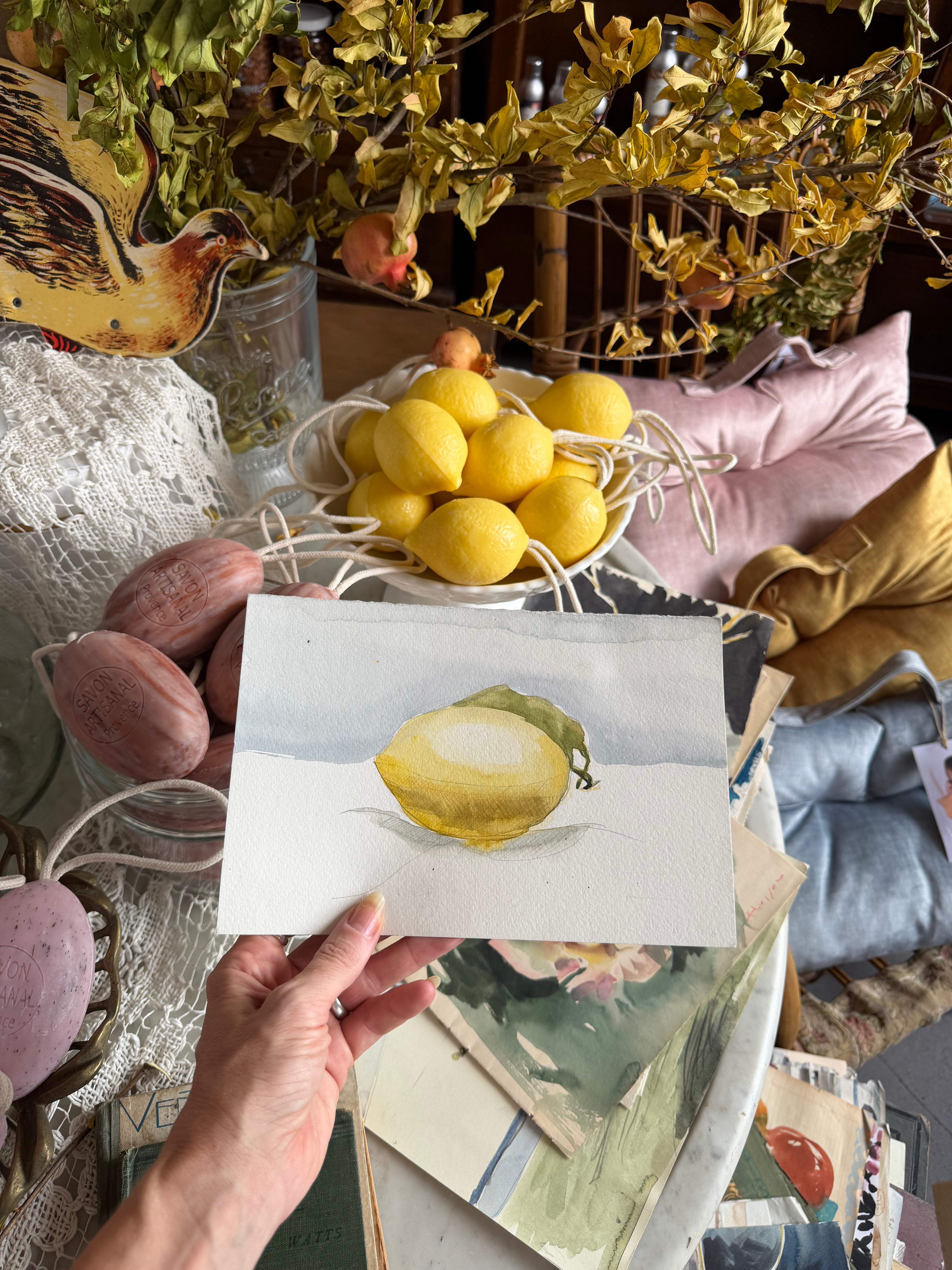 Saponette francesi corda limone