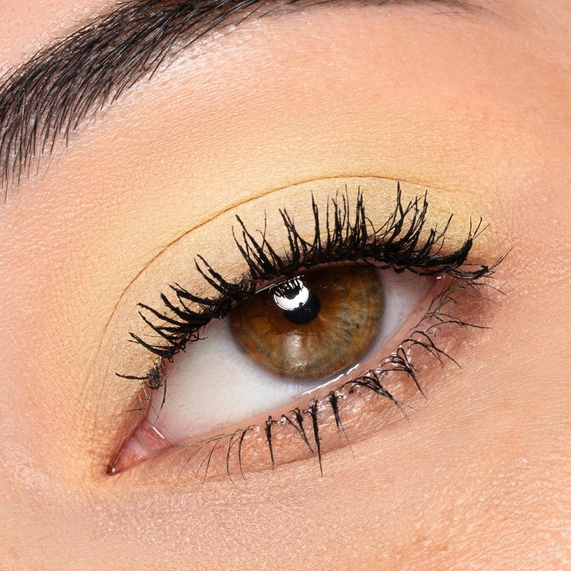 Ombretti Blush e terre in cialda GLI ARCOBALENI Neve cosmetics