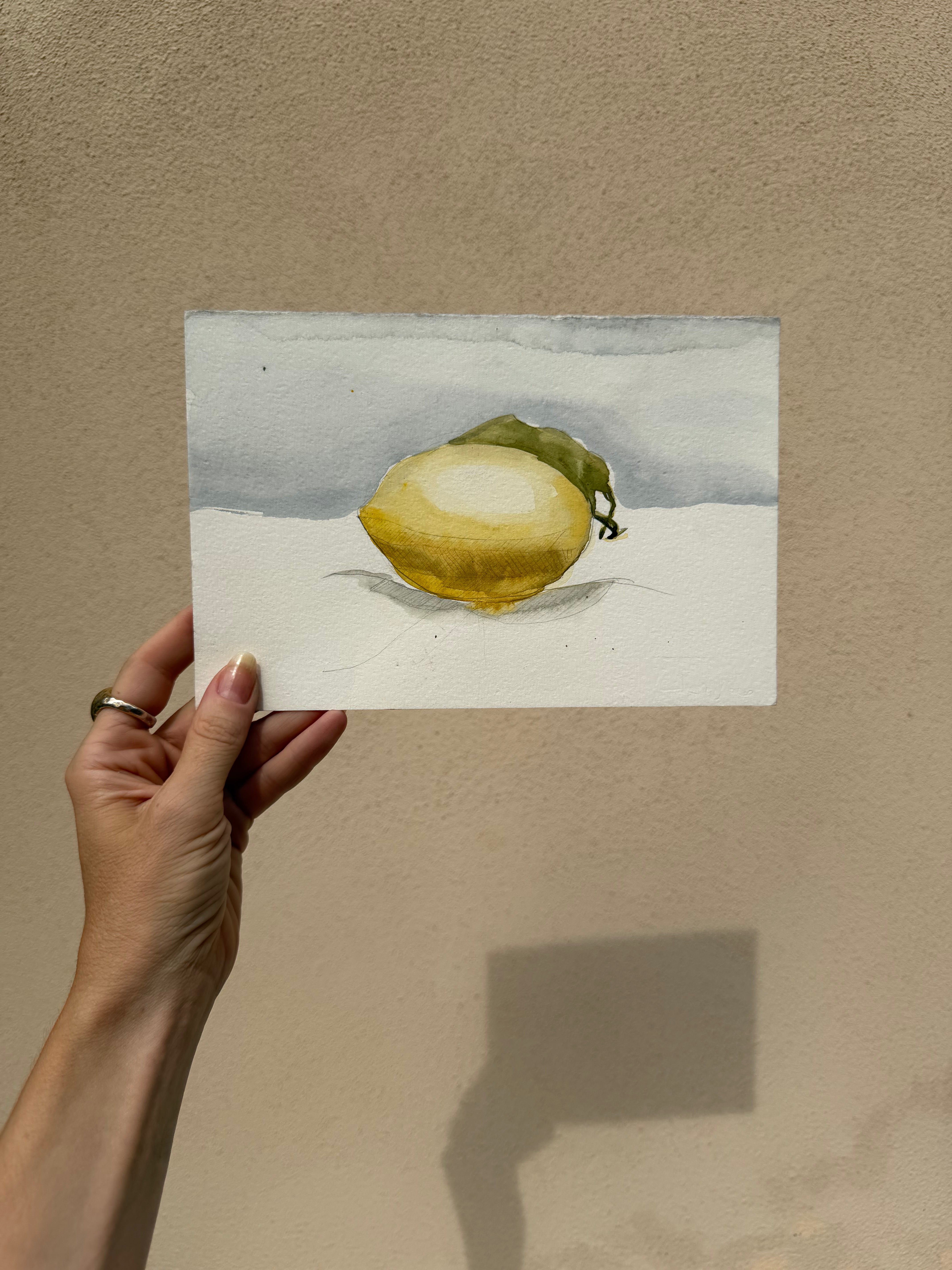 Dalla cartella del pittore tesoro numero 29