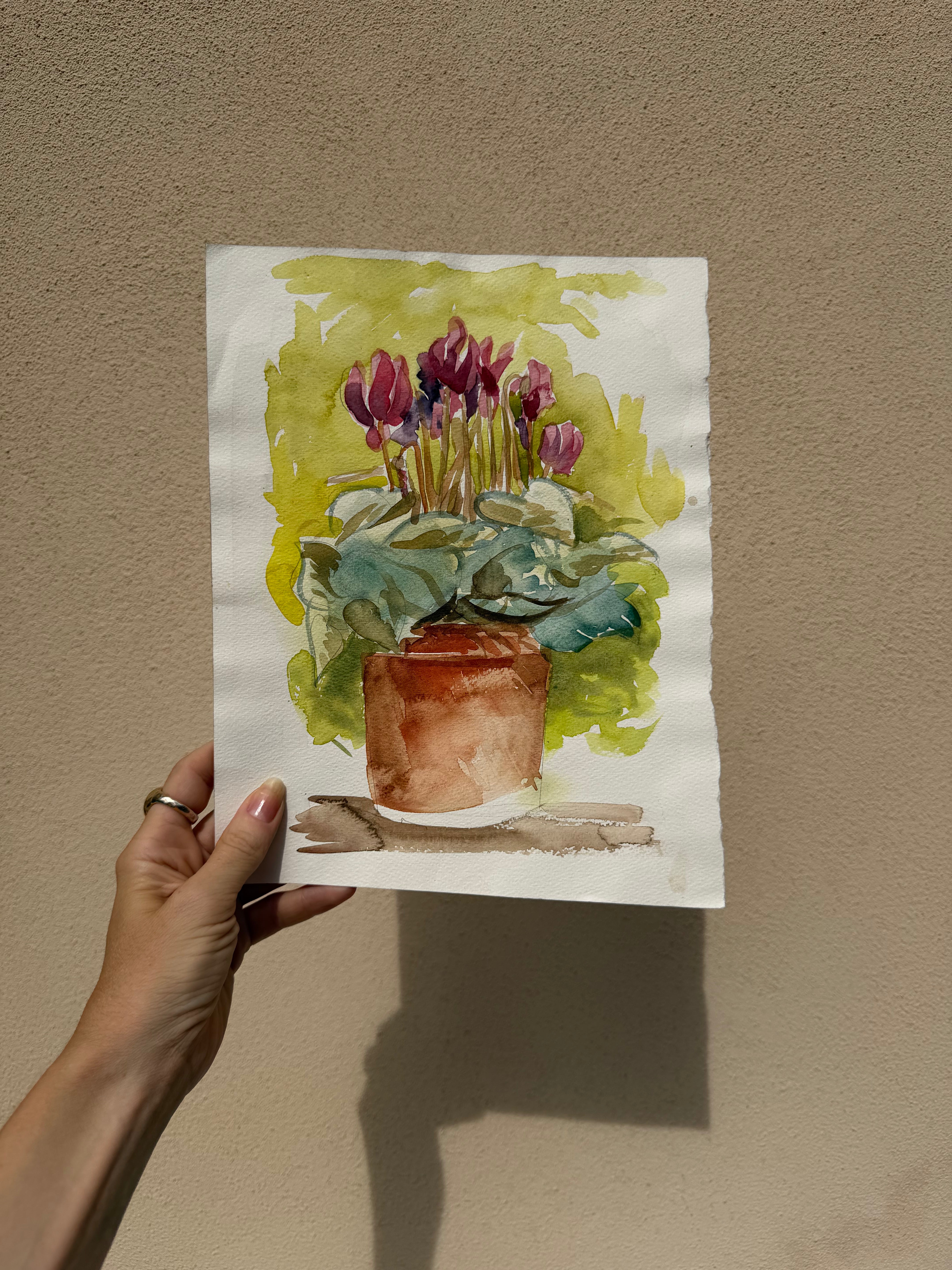 Dalla cartella del pittore tesoro numero 51
