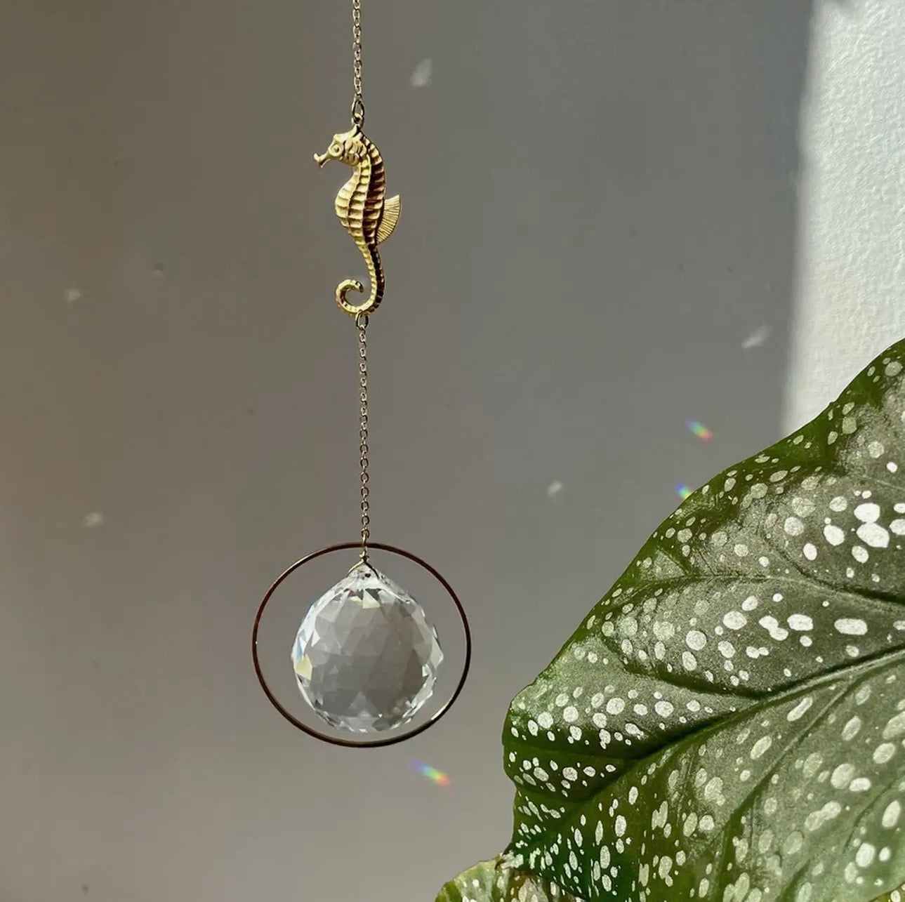 Suncatcher Cristallo da finestra