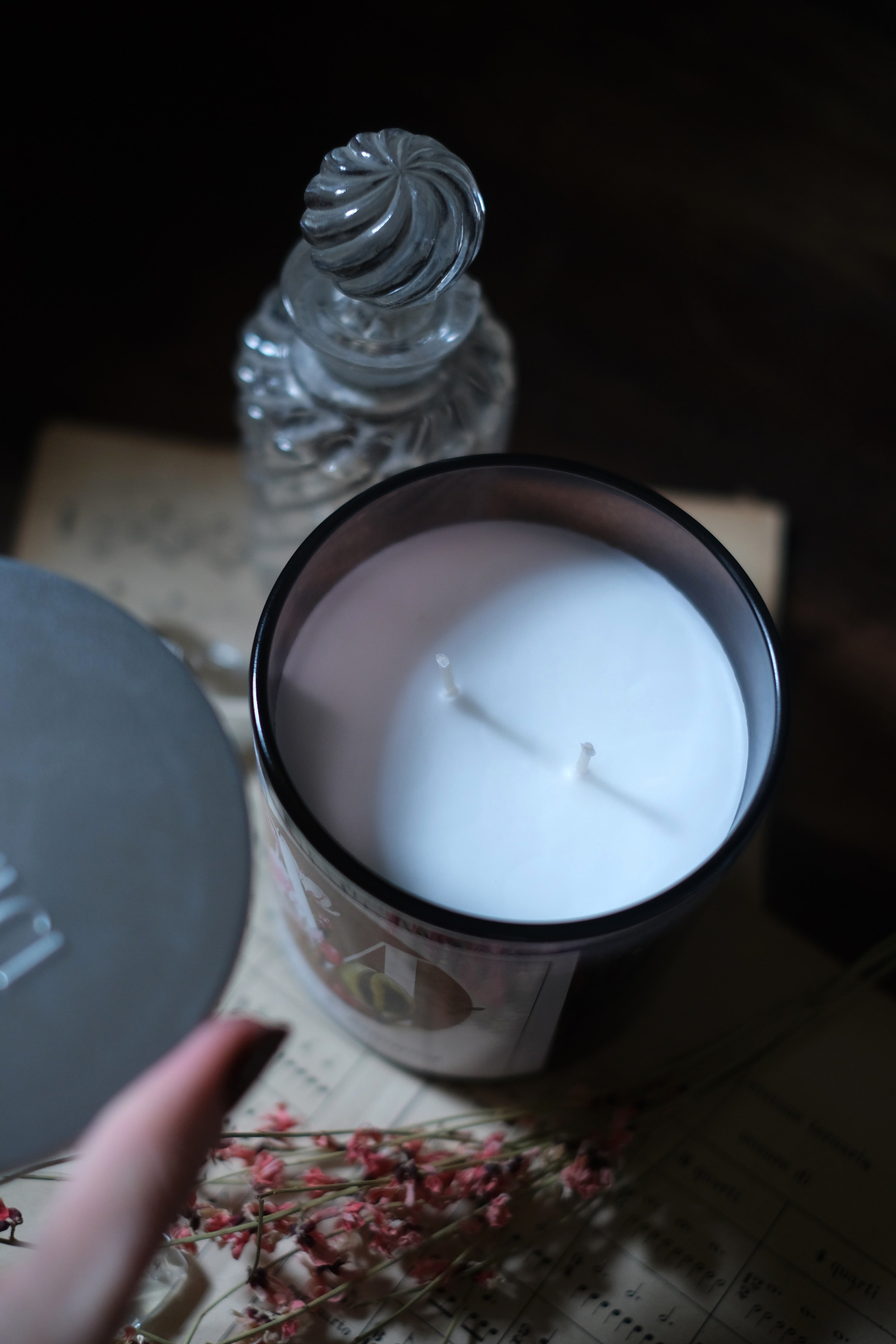 Candela Macaron & Almond