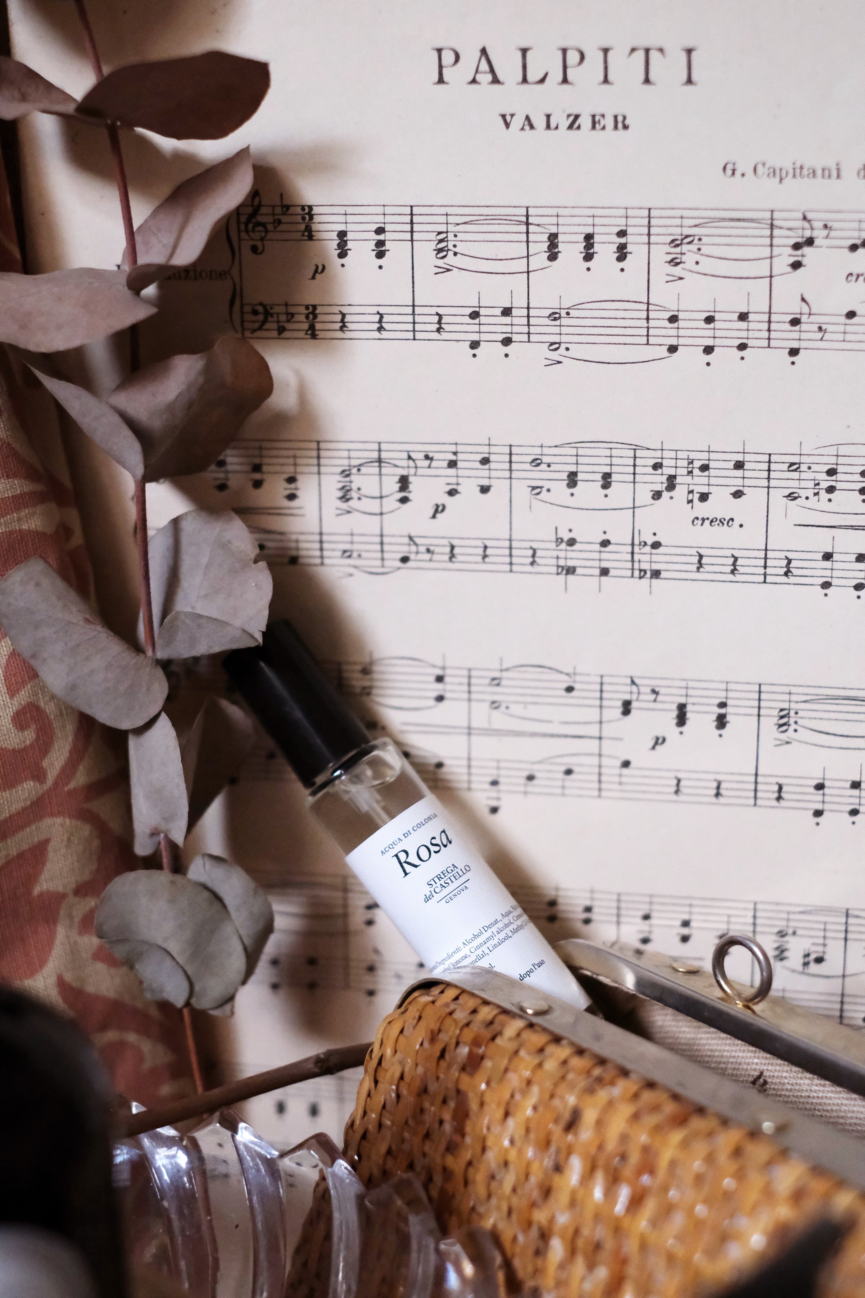 Rosa Acqua di Colonia Piccola