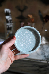 Piattino Azzurro Svezia